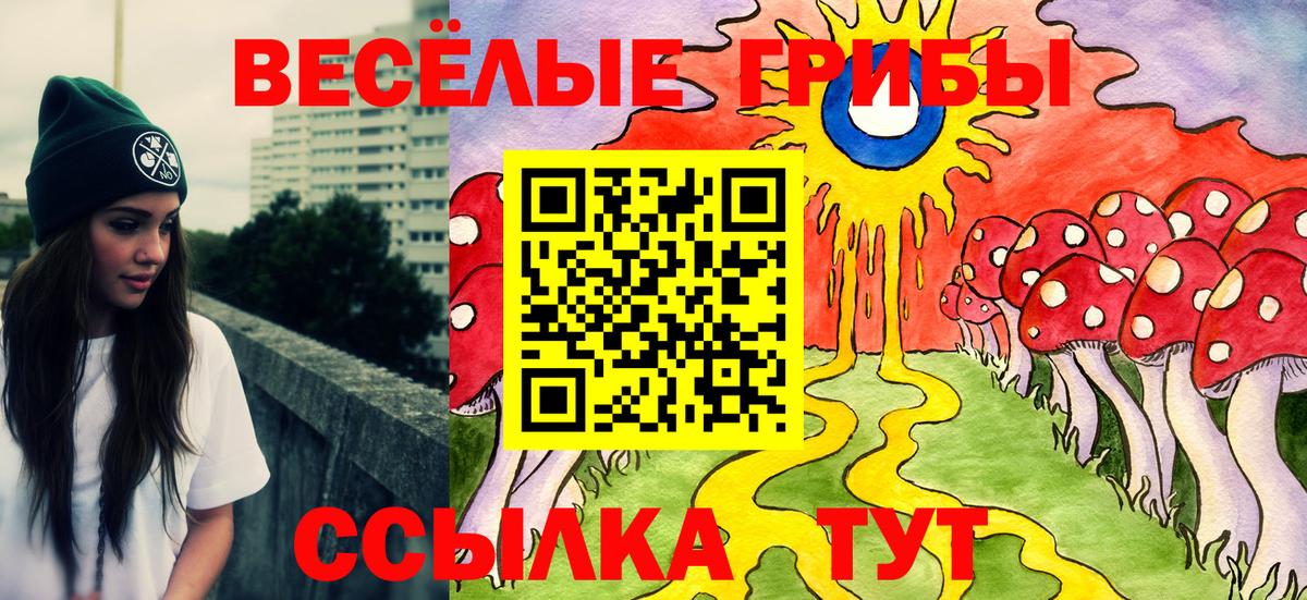 Оренбург  Галлюциногенные грибы Psilocybe  наркотики  Вход с VPN 